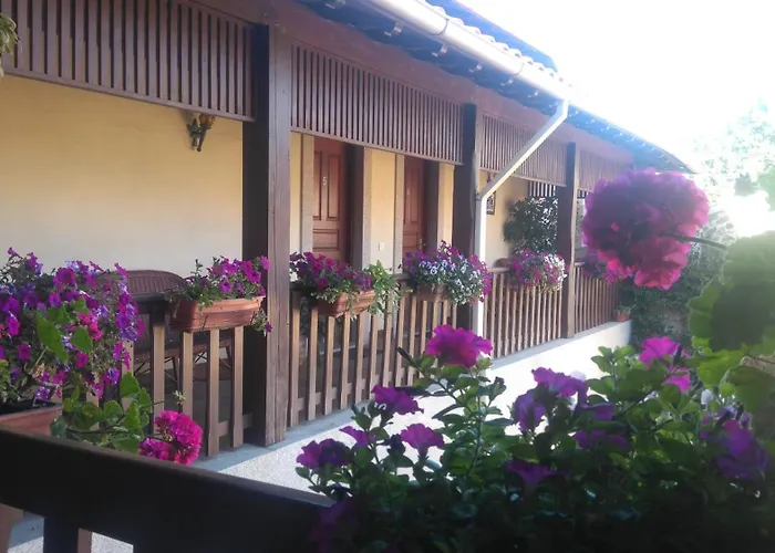 Quinta Dom José Agroturismo *